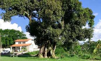 Imagem 7: Casa em Marechal Deodoro