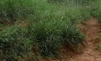 Imagem 5: Terreno em ótima localização