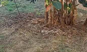 Imagem 6: Vendo Lote 360 metros excelente localização