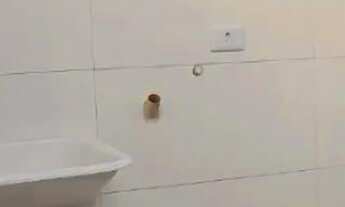 Imagem 3: Casa á venda com 2 quartos sendo 1 suíte no Residencial Buzios em Campo Grande - MS