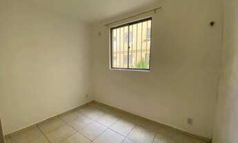 Imagem 3: Alugo um ótimo apartamento