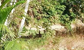 Imagem 4: Lote a venda Chácara com venda por R$1.200.000