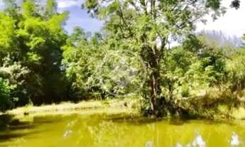 Imagem: FAZENDA de 36.1 ALQUEIRES MUNICÍPIO DE