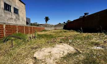 Imagem: Lote Vicente Pires