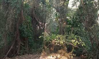 Imagem 3: VENDO TERRENO DE 1.555m² no Condomínio Colina Azul em Itaipu- Niterói