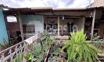 Imagem 4: QNG 36 Taguatinga Norte: lote grande com 3 casas e 350m²