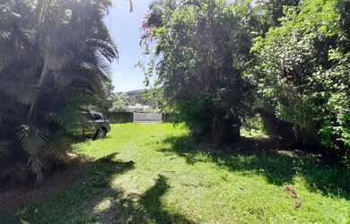 Imagem 4: Terreno para venda possui 11.452 metros quadrados, em Vargem Grande - Florianópolis - SC