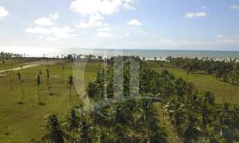 Imagem 2: Lote no Sunset Beach Residence
