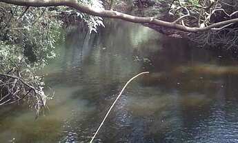 Imagem 3: Vendo terreno 20 x150 com rio passando no fundo 35.000,00