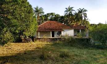 Imagem 5: Fazenda no município de Veríssimo MG