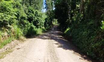 Imagem 5: Sítio / Chácara para Venda em Nova Petrópolis, Linha Brasil Fundos