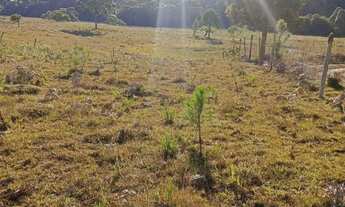 Imagem 6: Chácara em mato queimado 2 km da estrada do Cazuza ferreira