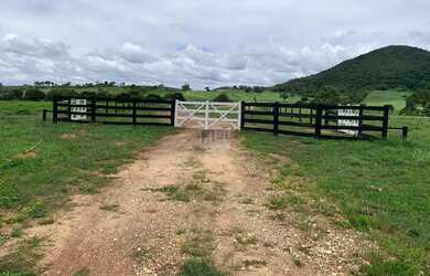 Imagem 3: ÁREA - RODOVIA GO, URUAÇU/GO