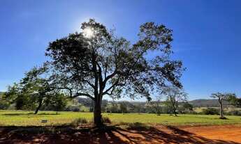 Imagem 7: Parqueville Quaresmeira Condomínio Fechado ( Trindade Goiás)98