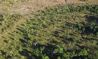 Imagem 5: Vendo essa Chácara na manchete