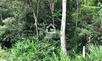 Imagem 2: Área 397.103 m², a 1,5 km da BR 116 São Lourenço/Juquitiba