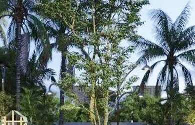 Imagem 2: Apartamento a venda em Construção em Intermares - AP9488