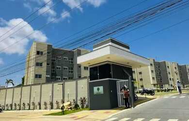 Imagem: ANA20 CHAVE ARVORES 01