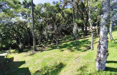 Imagem 5: Lote em condomínio em rua Jenny chaves fleck - Centro - Canela/RS