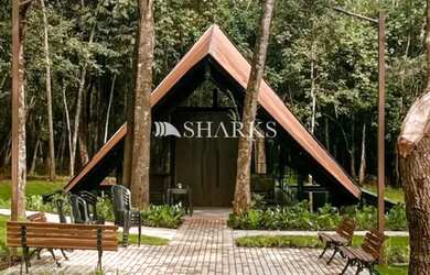 Imagem 6: Lote de esquina no Jardins França - Parte alta