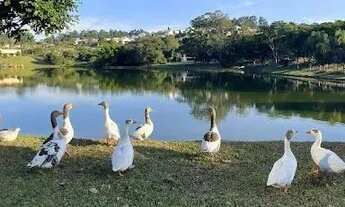 Imagem 5: Terreno à venda, 780 m² por R$ 599.000,00 - Világio Paradiso - Louveira/SP