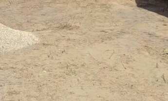 Imagem: Vende-se lote em coruripe 8x22