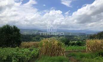 Imagem 11: Sítio Chácara com venda por R$259.000