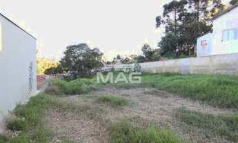 Imagem 5: COLOMBO - Terreno Padrão - Guaraituba