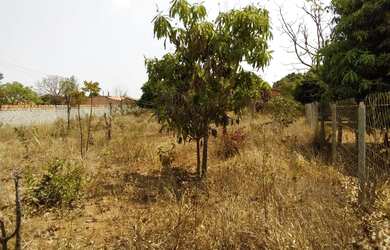 Imagem 4: Sitio de 2 mil metros com rua asfaltada próximo de vários comércios!