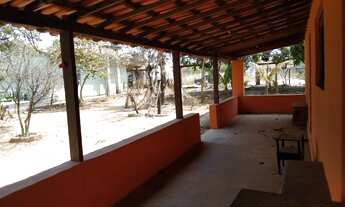 Imagem 7: Sitio de 2 mil metros com rua asfaltada próximo de vários comércios!