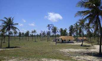 Imagem 5: Área frente mar, Conde - Bahia - R$ 2.600.000,00, 436.000m²