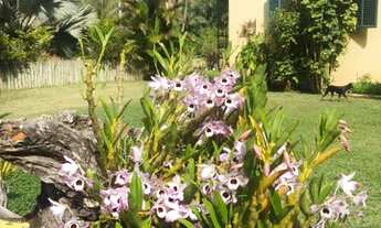 Imagem 5: Sítio para locação