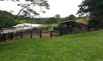 Imagem 5: Fazenda para Venda Zona Rural, Abadiânia