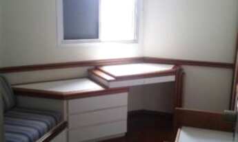 Imagem 7: SãO PAULO - Padrão - PINHEIROS