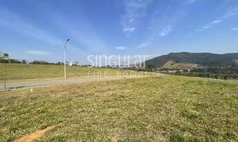 Imagem 4: Lote com 480,79m2, linda vista e ótima topografia em leve declive!