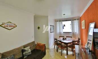 Imagem 2: CURITIBA - Padrão - Xaxim