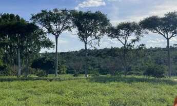 Imagem 3: Dona Olivia Universidade