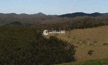 Imagem 4: Santo Antônio do Pinhal - Sítio - Zona Rural