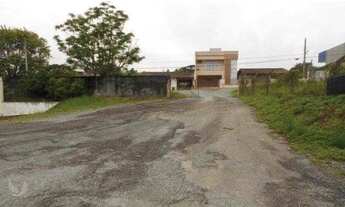 Imagem 6: LOTES COM BENFEITORIAS - 7.000,00m² - MAFRA/SC