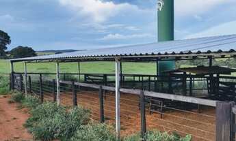 Imagem 5: Fazenda localizada em Munícipio de Cromínia de Goiás, 65 Quilômetros de Goiânia