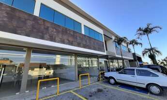 Imagem 3: BIGUAçU - Padrão - Praia João Rosa