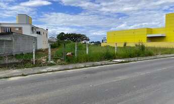 Imagem 4: Terreno a 70 metros da Marginal da BR 101 com 3.368 m² no Aririú - Palhoça - SC