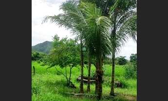 Imagem 2: Chácara com Casa com 02 Quartos para Venda - Jardim Triângulo, Formosa