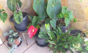 Imagem 3: Casa à venda, 131 m² por R$ 460.000,00 - São Cristóvão - Rio de Janeiro/RJ