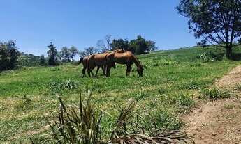 Imagem 2: Vinhedo - COMERCIAL / RESIDENCIAL - Observatório