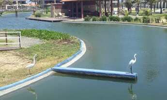 Imagem 3: Apto 4 Suítes Pé na Areia