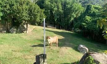 Imagem 2: Terreno com 600m² no bairro Praia Brava em Florianópolis para Comprar