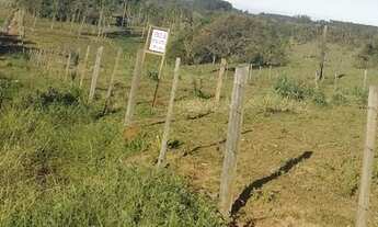 Imagem 3: Vende-se lotes Terreno / lote com venda por R$60.000