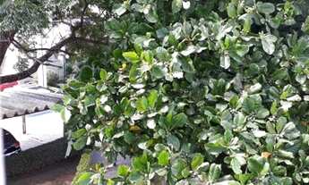 Imagem 3: Apartamento à venda no bairro Tatuapé - São Paulo/SP, Zona Leste