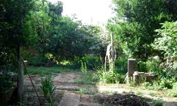 Imagem 5: Sao Carlos - Casa Padrão - Centro